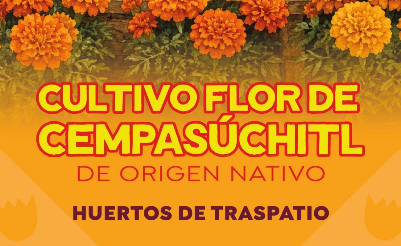 Taller de Huertos de Traspatio